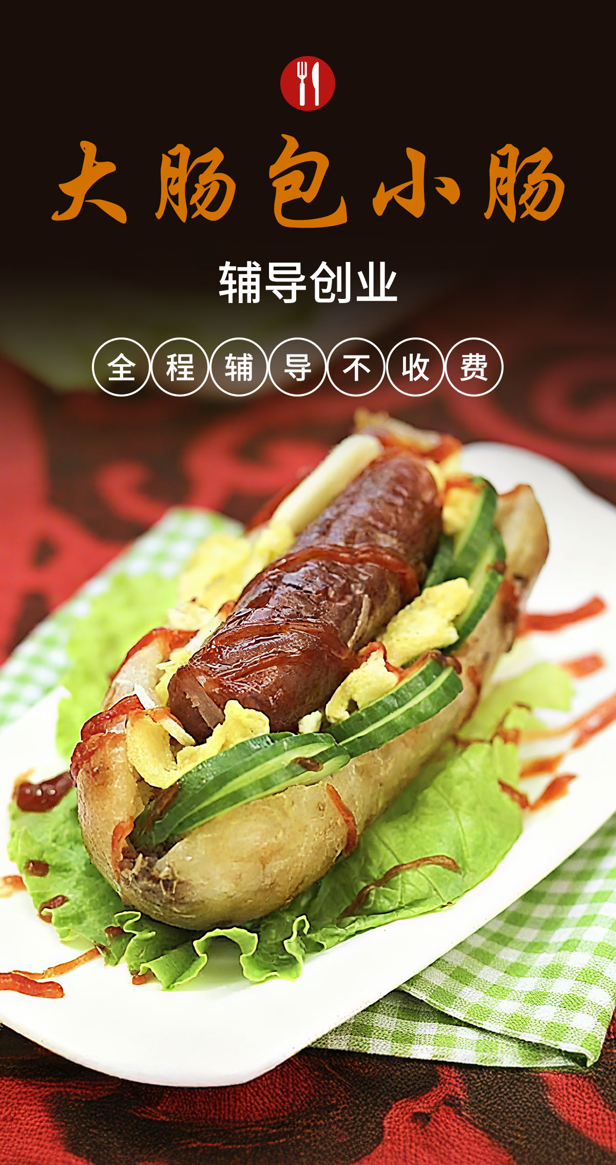 大肠包小肠 辅导创业